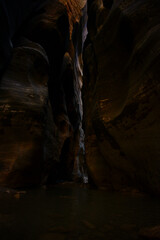 Zion The Narrows, First Narrows