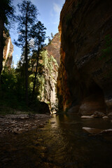 Zion The Narrows