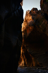 Zion Narrows Wall Street