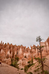 Queen's Garden Bryce Canyon National Park