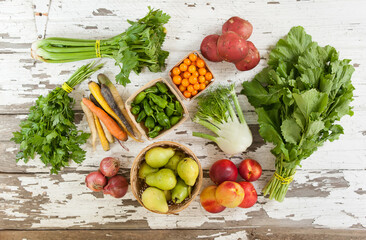 Fall Autumn Harvest Community Supported Agriculture Share