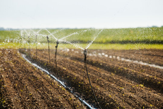 Farm Irrigation System for Watering Crops