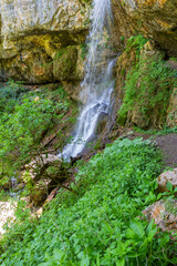 spring in nature, a natural park, a mountain river in a natural channel with rapids and waterfalls.