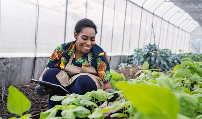 Portrait happy sme owner African woman work with clipboard gardening vegetable farm, nursery worker...