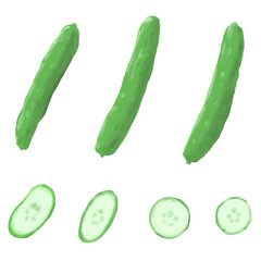 Hand drawn cucumber illustration