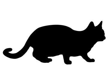 black silhouette of a cat, on a white background, side view