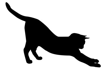 black silhouette of a cat, on a white background, side view