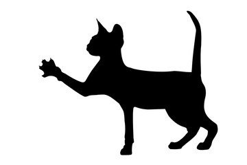 black silhouette of a sphinx cat, on a white background