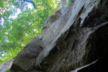 初夏の新緑と大きな岩