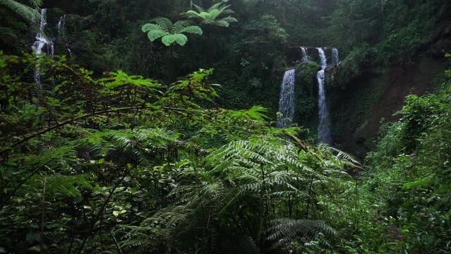wide shot taken of the grenjengan kembar waterfalls in the jungle of central java indonesia with beautiful ferns  in the foreground