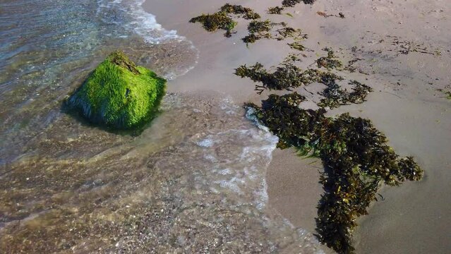 Waves wash over stone and green seaweed on sand beach, static slomo