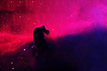 A nebula that looks like a horse's head. Elements of this image furnished by NASA