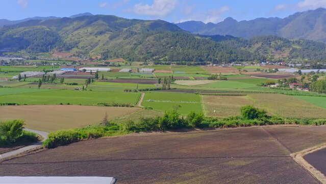 Aerial forward view of Constanza cultivated fields and landscape with mountains in background, Dominican Republic