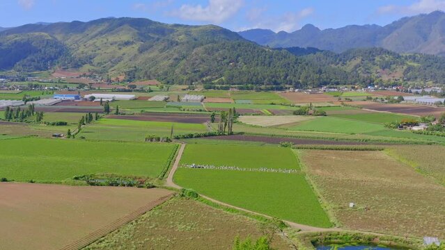 Verdant beautiful landscape of Constanza nature reserve with green landscape and mountains in background, Dominican Republic