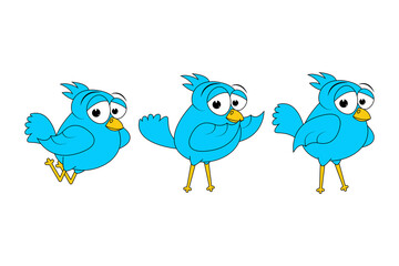 cute bird animal cartoon graphic