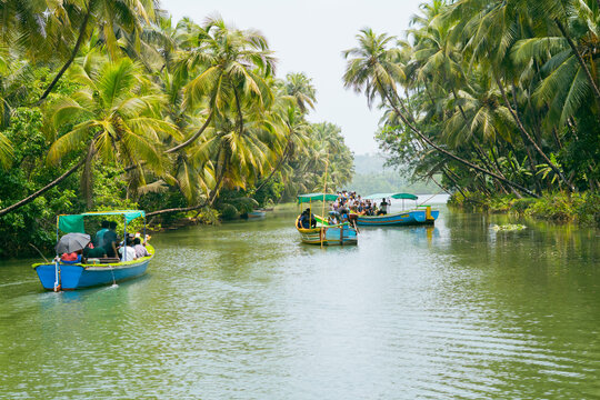 : Three local boats taking tourists for sight seeing in honnavar