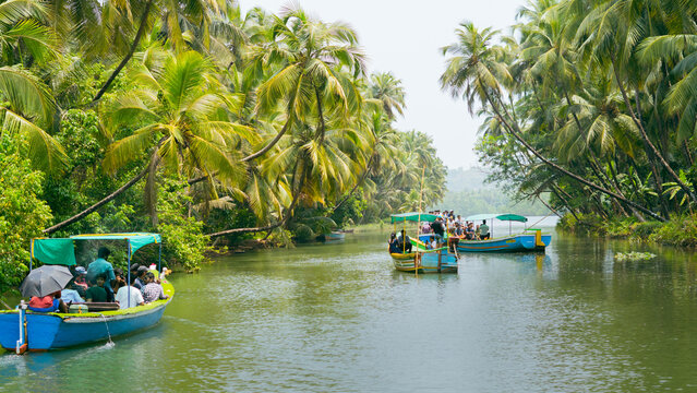 three boats traveling in river covered with coconut trees