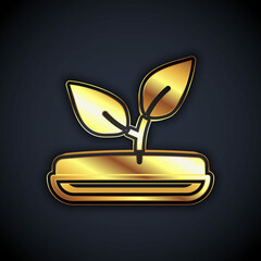 Gold Sprout icon isolated on black background. Seed and seedling. Leaves sign. Leaf nature. Vector