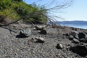 Stony Beach at the Puget Sound on the Olympic Peninsula, Washington