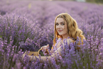 Girl in a lavender field. Woman in a field of lavender flowers at sunset in a white dress. France, Provence.