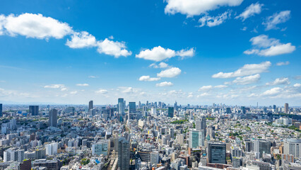 Fototapeta premium 東京風景