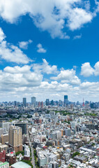 Fototapeta premium 東京風景