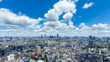 Fototapeta premium 東京風景