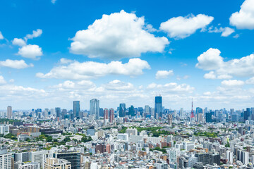 Fototapeta premium 東京風景