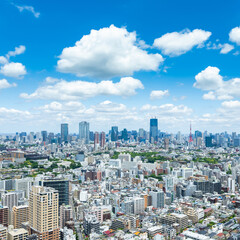 Fototapeta premium 東京風景