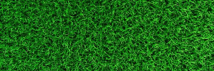3D Green grass field banner background top view empty green backyard for sport game or garden decoration