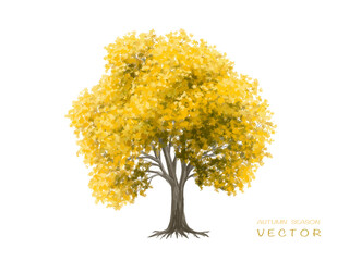 Vector watercolor blooming flower tree side view isolated on white background for landscape and architecture drawing, elements for environment or and garden,botanical elements for section 