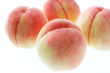 桃　　白バック　