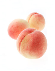 桃　　白バック　