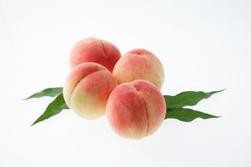 桃　　白バック　