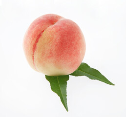 桃　　白バック　