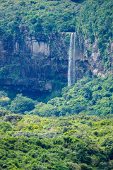 ピナイサーラの滝　日本　沖縄　西表島