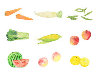 watercolor vegetables