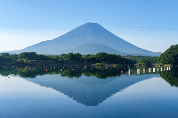 山梨県富士五湖のうちの一つの精進湖と富士山