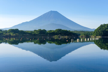 山梨県富士五湖のうちの一つの精進湖と富士山