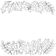 Fototapeta premium Autumn background with space and border of leaves, mushrooms, acorns, berries on edges. For invitation, ending, frame, children's print, or coloring. The theme is forest, happy fall, thanksgiving
