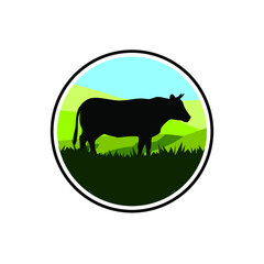 beef cattle farms vector