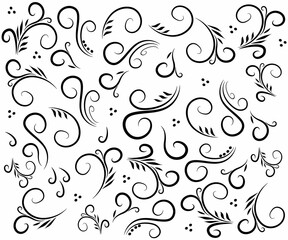 black and white pattern of curls, spirals and leaves