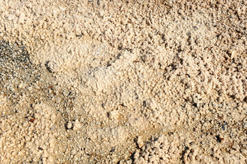 Salt deposits by evaporation of salt water. Background and saline texture. Saltpeter, brine