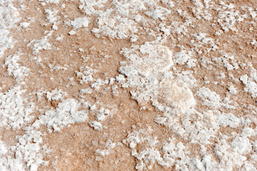 Salt flower. Inland salt production in the Iptuci salt flats in Prado del Rey, Cadiz province Andalusia Spain.