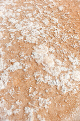 Salt flakes for gourmet gastronomy. Production of quality salt in the Iptuci salt flats in Prado del Rey, Cádiz province Andalusia Spain.