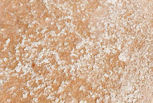 Flocons de sel. Fleur de sel Production de sel &agrave; l'int&eacute;rieur dans les salines d'Iptuci &agrave; Prado del Rey, province de Cadix Andalousie Espagne.