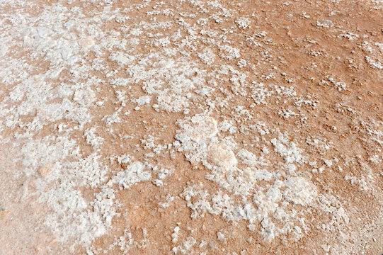 Flor de sal. Producci&oacute;n de sal de interior en las salinas de Iptuci en Prado del Rey, provincia de C&aacute;diz Andaluc&iacute;a Espa&ntilde;a. 