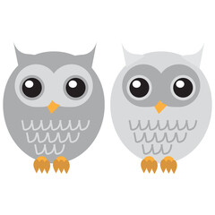owl vector illustration, bird, animal, wildlife