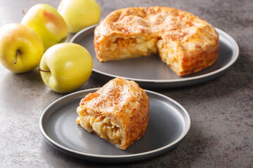 Apple pie with cheese crust closeup in the plate on the table. Horizontal