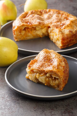 Homemade apple cheese pie with crispy butter crust close-up on a plate on the table. Vertical